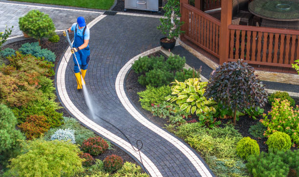 Best Exterior Home Cleaning  in South Fallsburg, NY